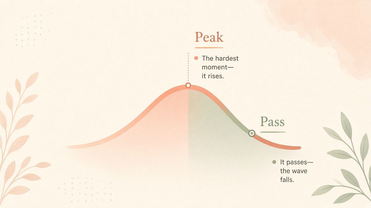 Diagram of a panic wave that rises to a peak and then passes downward