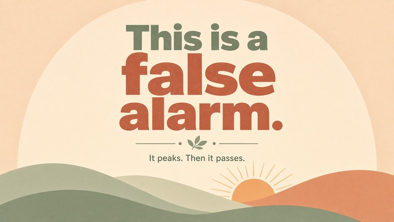 Calm reminder that panic is a false alarm — it peaks, then it passes