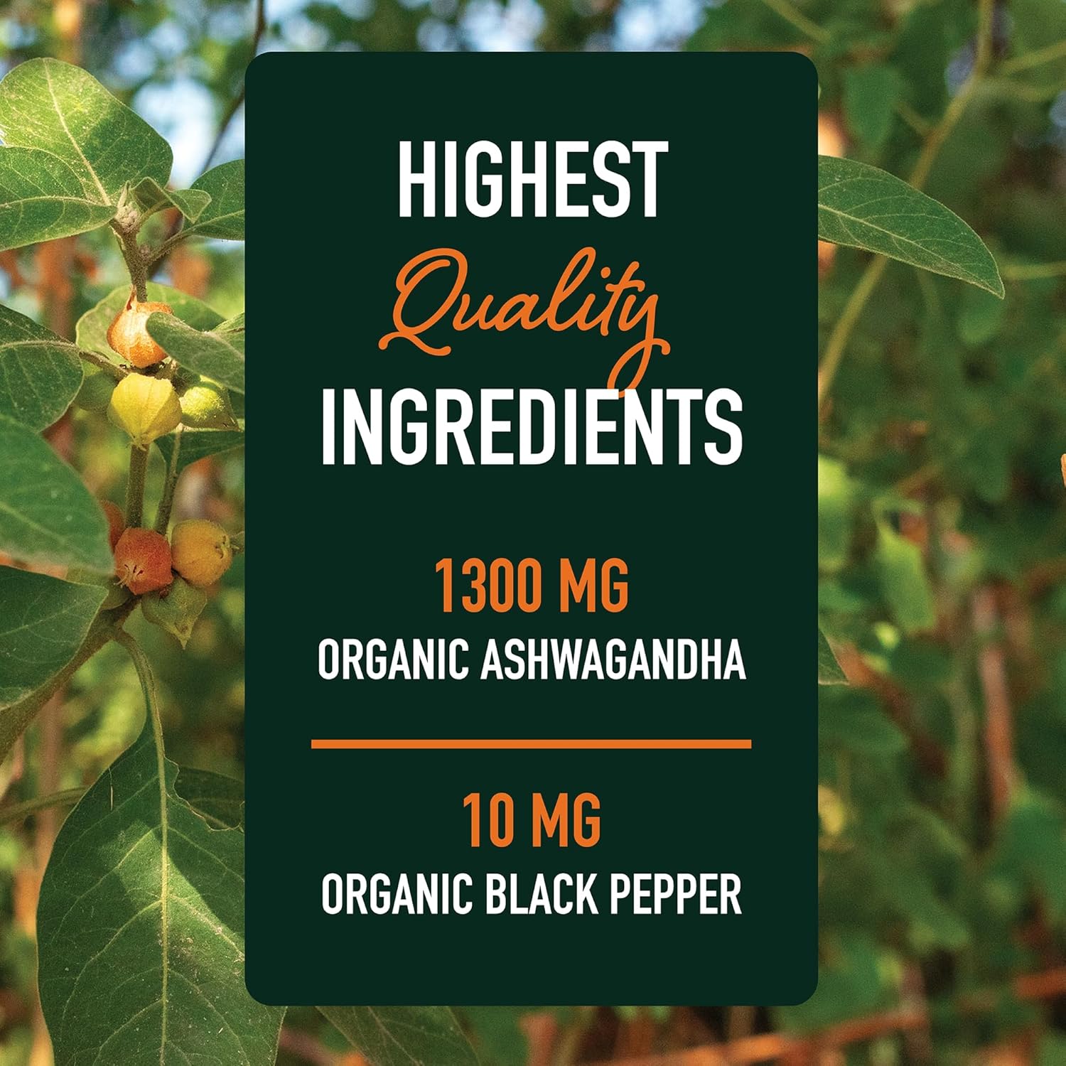 Ashwagandha Supplement 1300mg Review